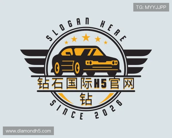 介绍钻石国际H5官网